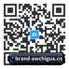 安卓极速冲浪端 二维码